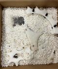 Used Mateer Pneumatic Scale Model 6700 18-Station Rotary Auger Filler.